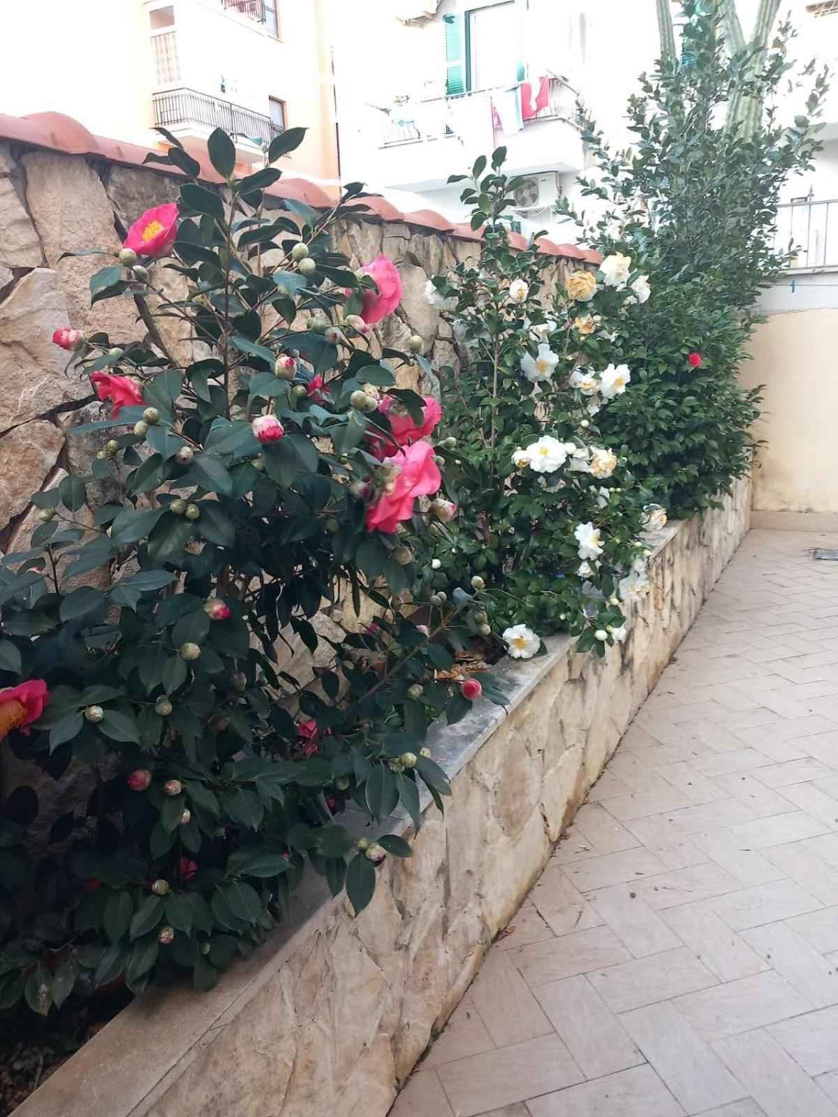 Domus Albanella Apartment Rome Luaran gambar